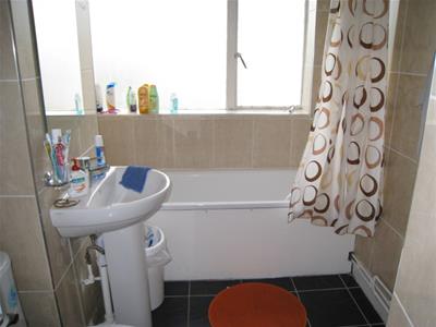 Picture 8